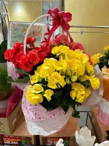 平和堂 アル・プラザ城陽