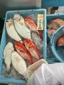 丸吉商店