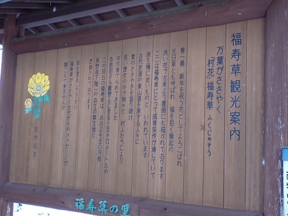 Howl Monさんが投稿した松本市四賀化石館に関する口コミの画像
