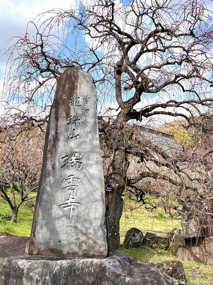 ビンカさんが投稿した蕎麦処 弥生に関する口コミの画像