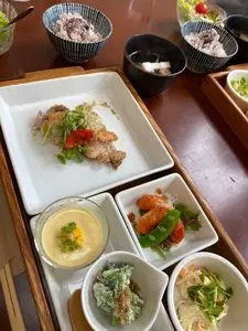 ゼルコヴァ（Zelkova）