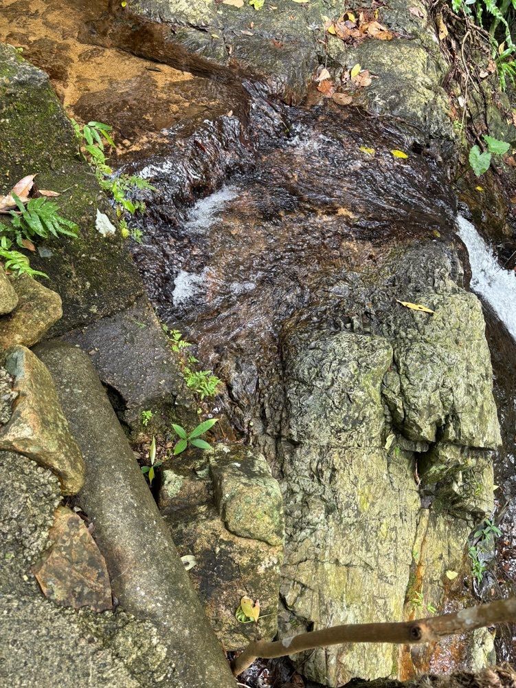 それなはとけさんが投稿した於茂登岳に関する口コミの画像