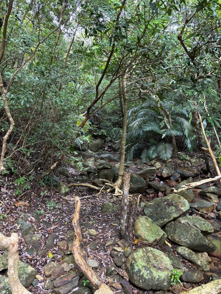 それなはとけさんが投稿した於茂登岳に関する口コミの画像