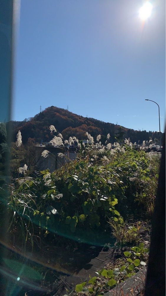 special_weekend_0fb3さんが投稿した山古志の棚田に関する口コミの画像