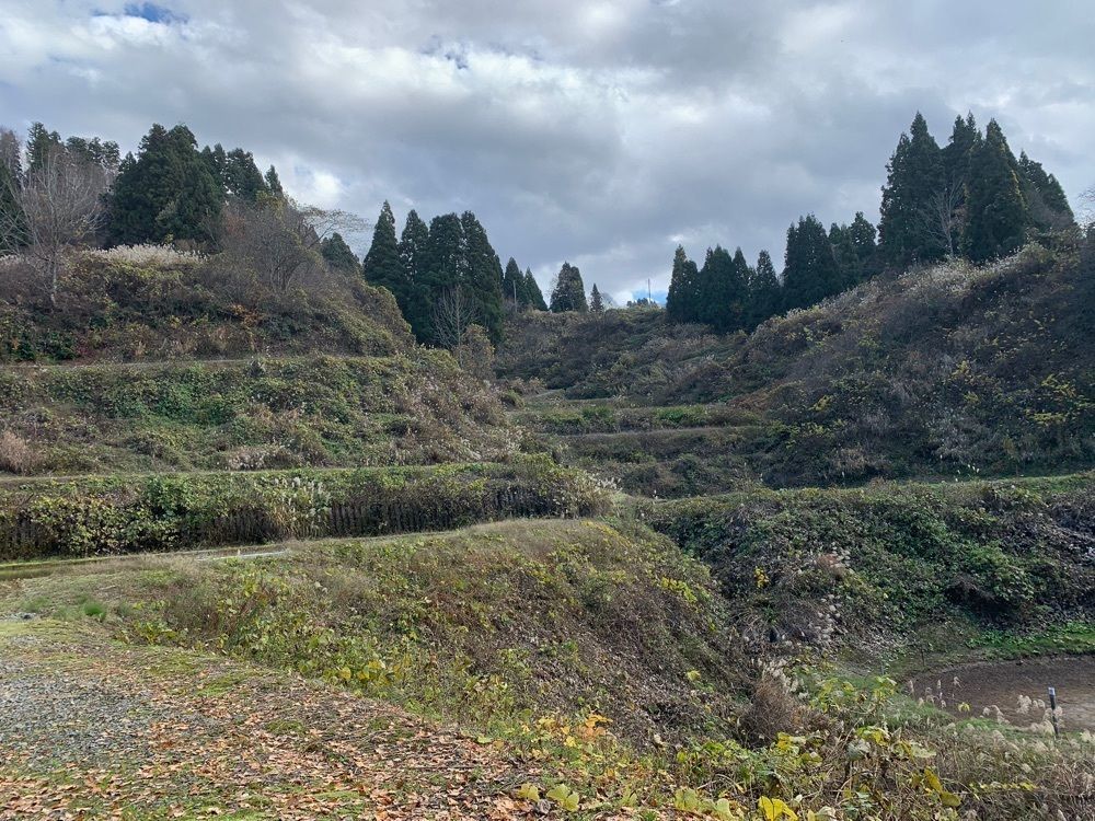 special_weekend_0fb3さんが投稿した山古志の棚田に関する口コミの画像