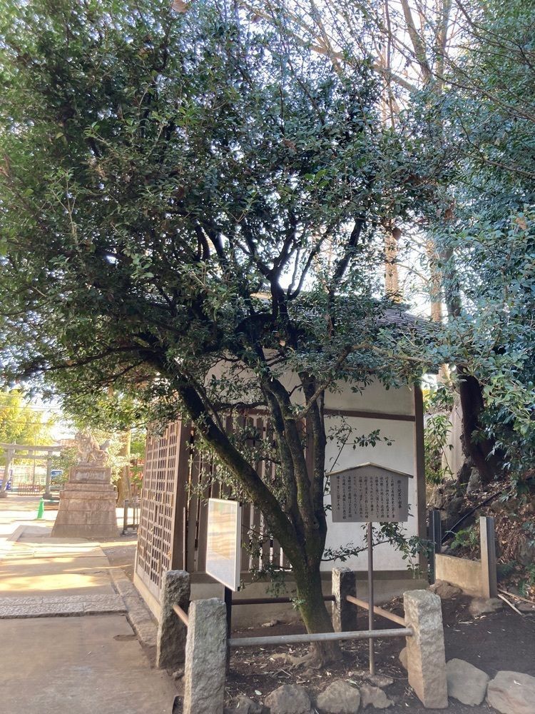 smile☺︎さんが投稿した日枝神社に関する口コミの画像