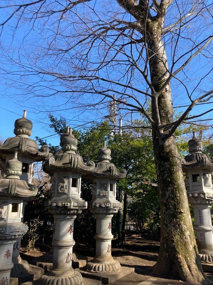 smile☺︎さんが投稿した日枝神社に関する口コミの画像