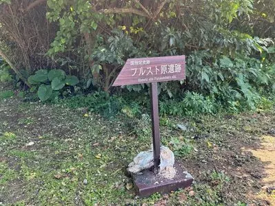フルスト原遺跡