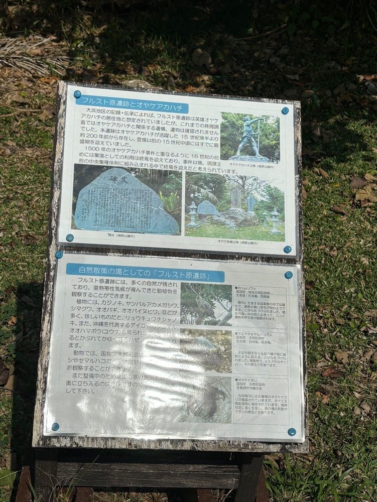 それなはとけさんが投稿したフルスト原遺跡に関する口コミの画像