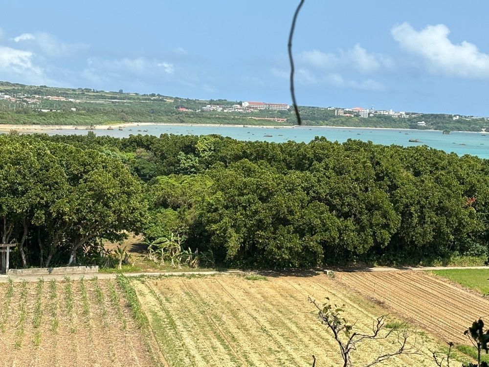 それなはとけさんが投稿したフルスト原遺跡に関する口コミの画像