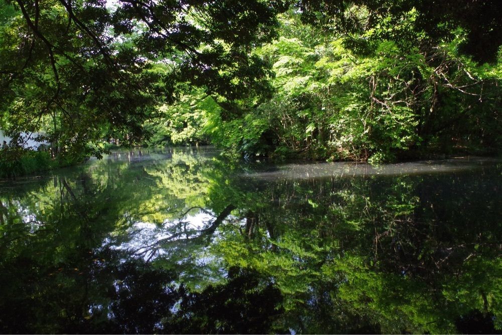 junkunさんが投稿した和田堀公園に関する口コミの画像