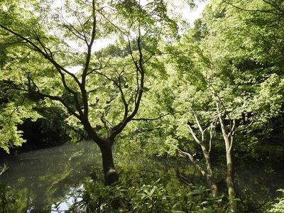 施設画像