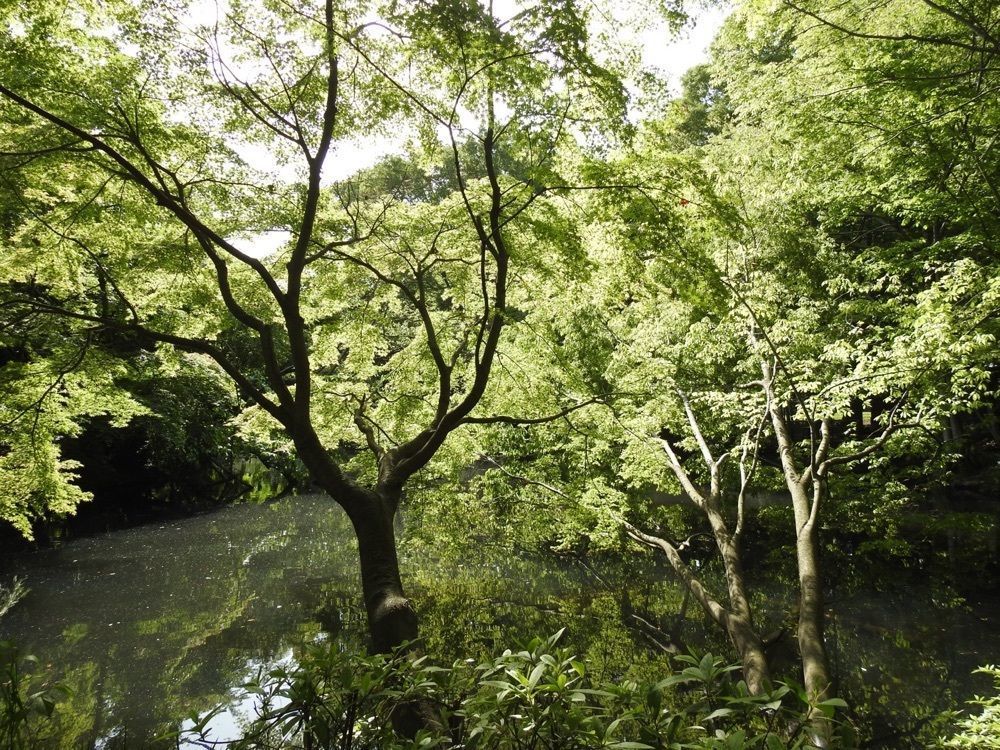 junkunさんが投稿した和田堀公園に関する口コミの画像