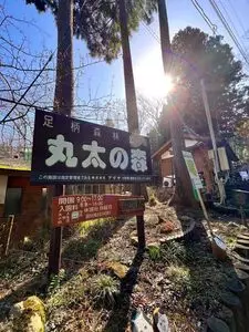 足柄森林公園丸太の森