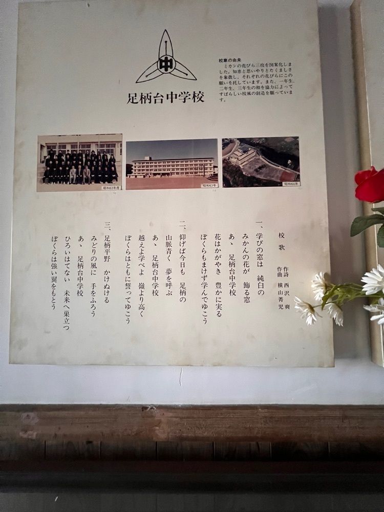 ビンカさんが投稿した森の空中あそび「パカブ」に関する口コミの画像