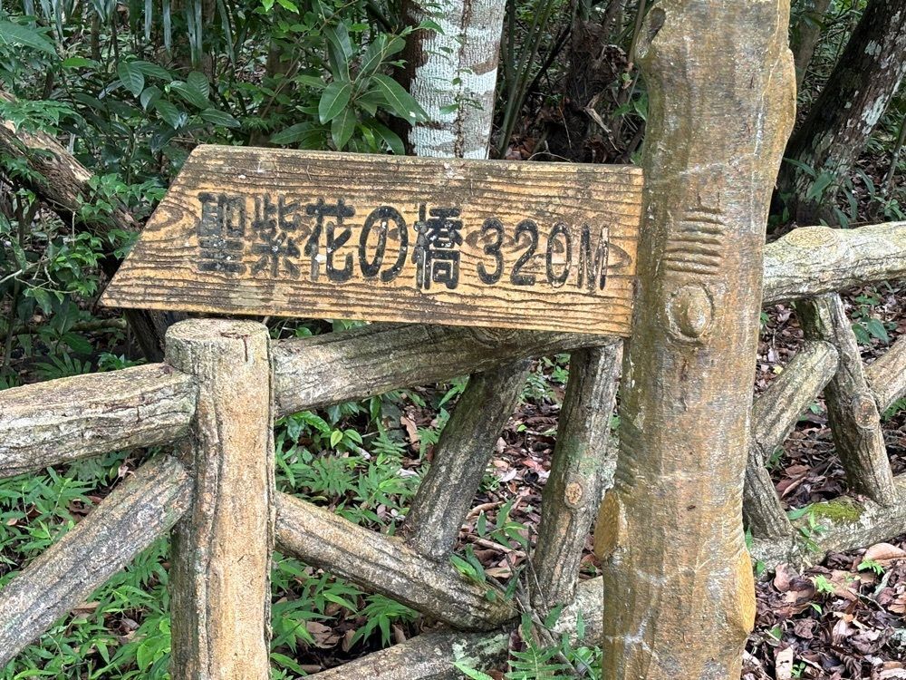 それなはとけさんが投稿したバンナ公園に関する口コミの画像