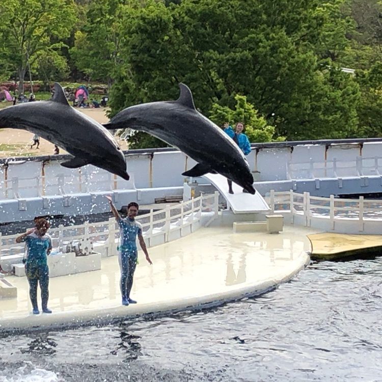 55edamameさんが投稿した京都水族館に関する口コミの画像