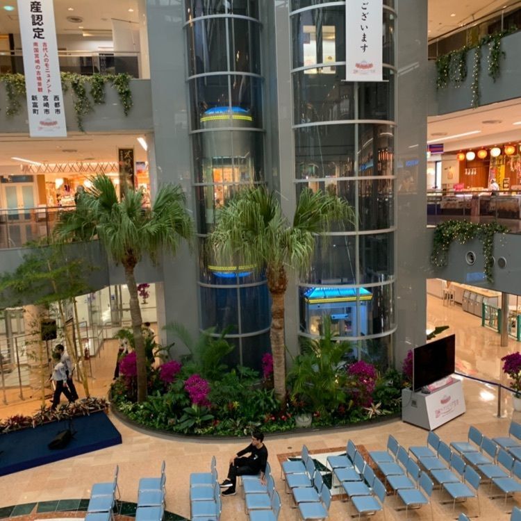 warm_location_8dfaさんが投稿した宮崎空港駅に関する口コミの画像