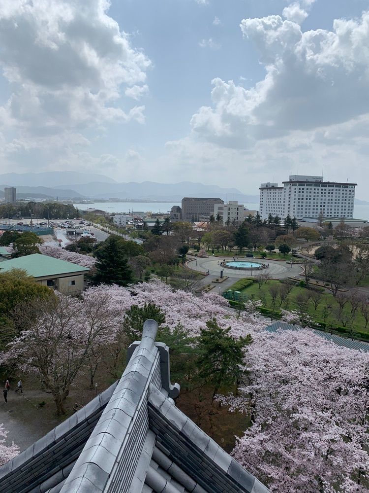 natural_culture_a358さんが投稿した長浜城の桜に関する口コミの画像