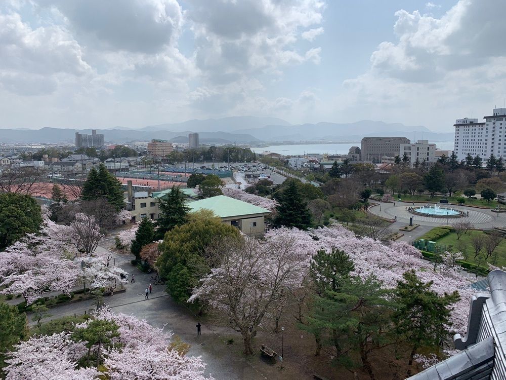 natural_culture_a358さんが投稿した長浜城の桜に関する口コミの画像