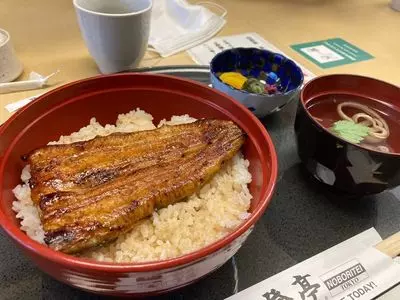 登亭 新宿店（のぼりてい）