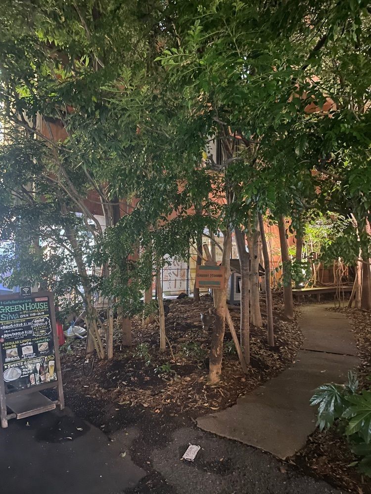 mamama__tさんが投稿したグリーンハウスシルバ（GREEN HOUSE Silva）に関する口コミの画像