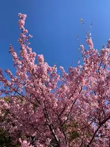 岡山グライダークラブ