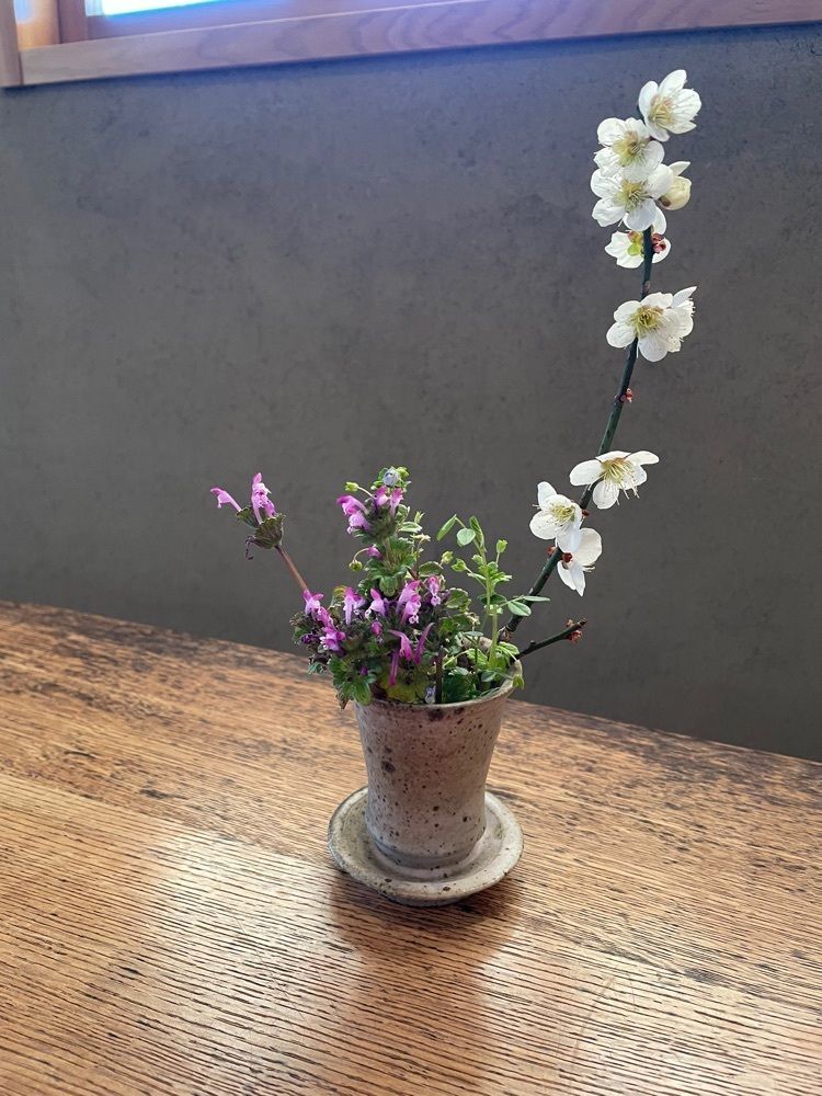 扇珠さんが投稿したひのくも（【旧店名】雨余花）に関する口コミの画像