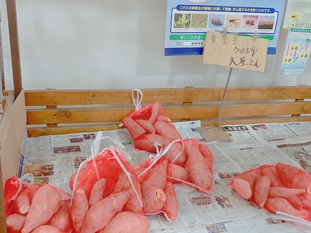 ゴンさんが投稿した海の駅あやはし館に関する口コミの画像