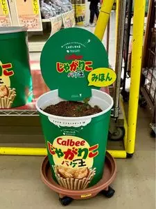 ジョイフル本田 千代田店