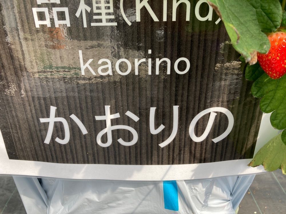 ゴンさんが投稿したぼぶるいちごやぁ～に関する口コミの画像