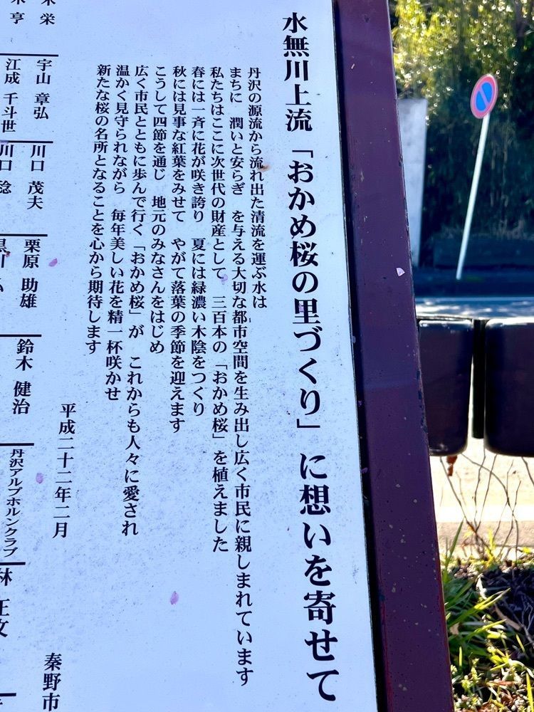 ビンカさんが投稿した丹沢の森に関する口コミの画像