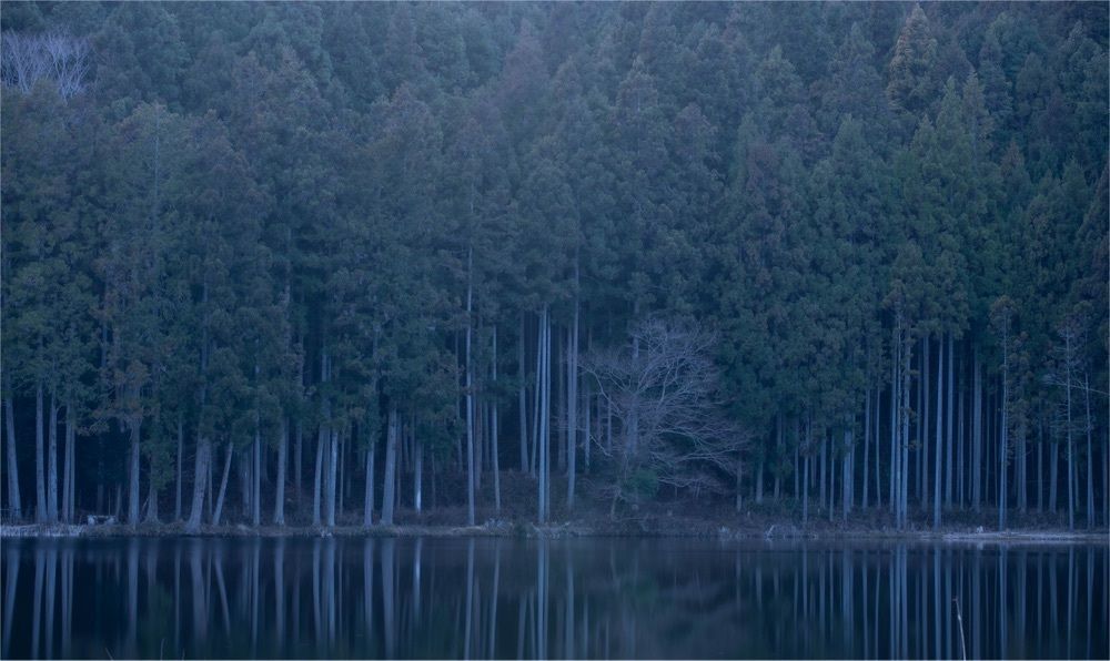 佳さんが投稿した龍王ヶ渕に関する口コミの画像