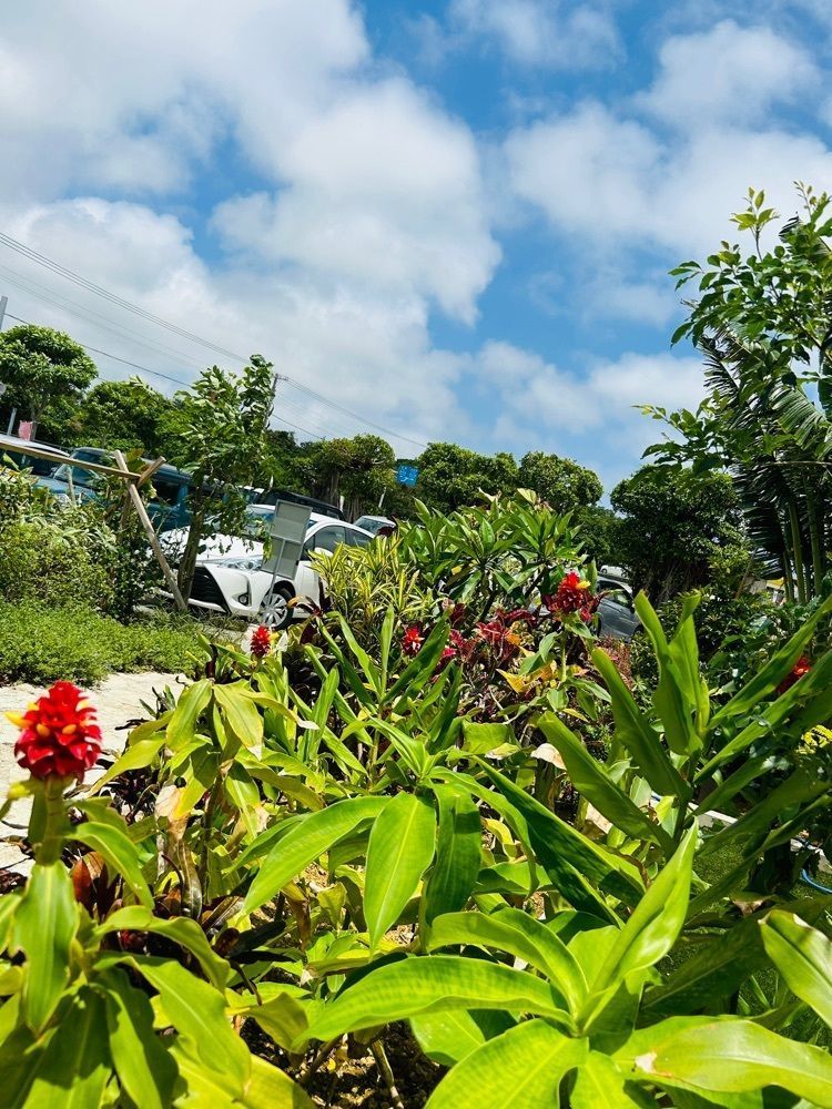 cool_village_20d2さんが投稿した土～夢 ごはんカフェ 琉球ガラス村店（ドーム）に関する口コミの画像