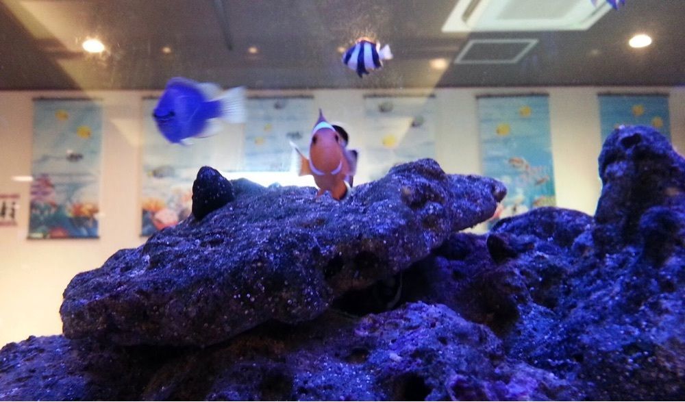 ＤＪゴン太さんが投稿した土岐よりみち温泉桔梗に関する口コミの画像