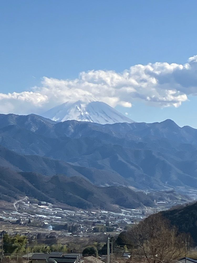 Nさんが投稿した98WINEsに関する口コミの画像