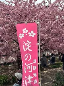 淀城(淀城跡公園)