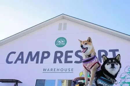FREE　AND　EASY　CAMP　RESORT