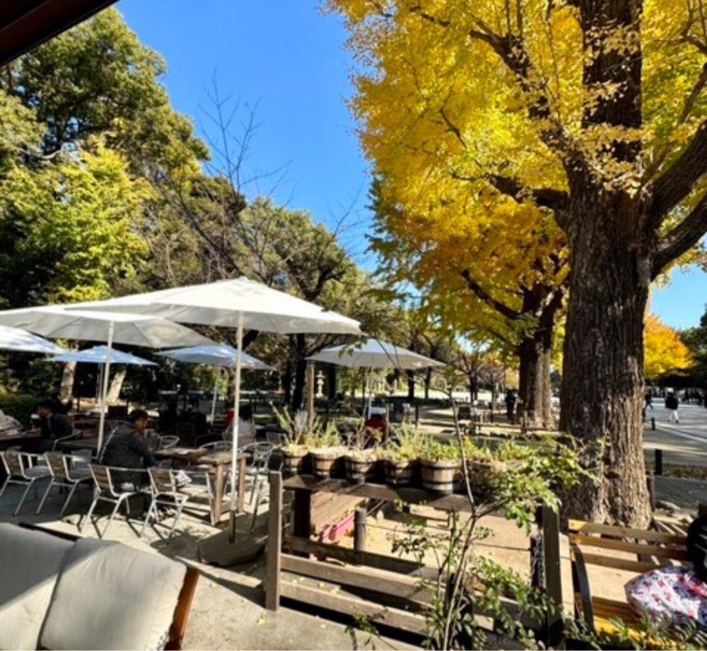 k89さんが投稿したアティックルーム靖国外苑（atticroom YASUKUNI GAIEN）に関する口コミの画像