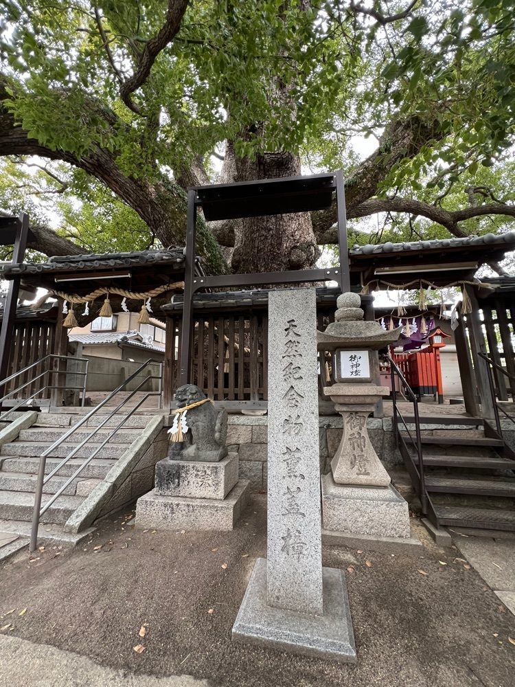 himbaさんが投稿した三島神社（くんがいしょう）に関する口コミの画像