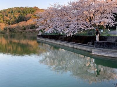 小倉の池 3枚目