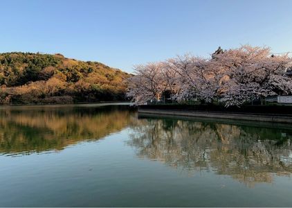 小倉の池 5枚目