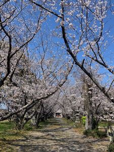 小倉の池 6枚目