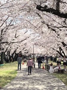 小倉の池 7枚目