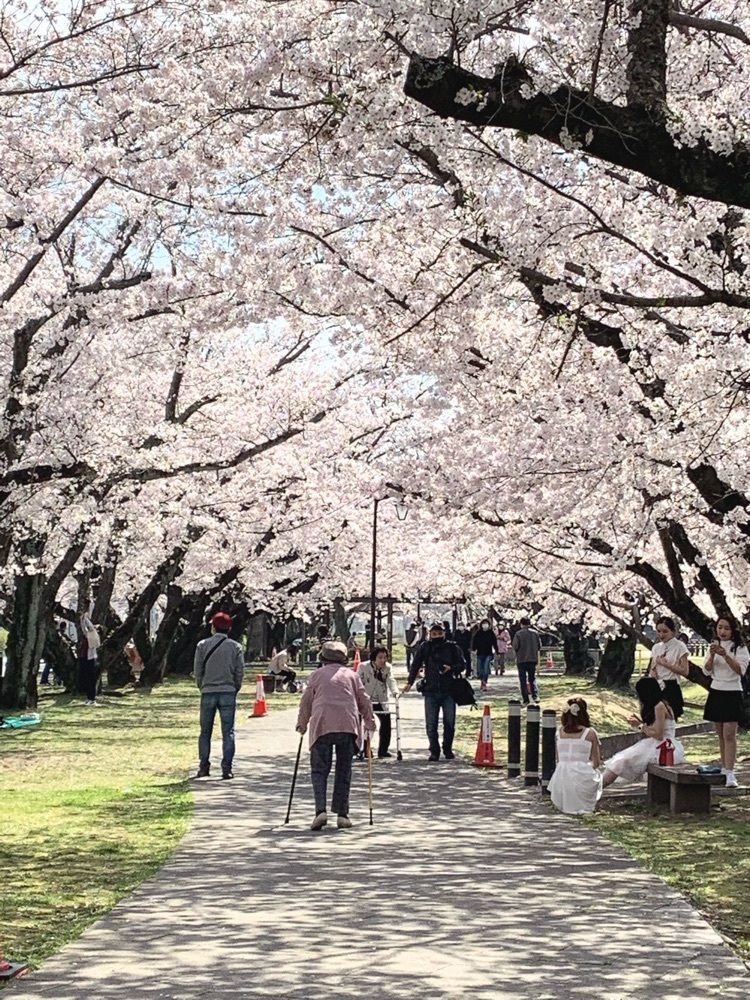 luckyさんが投稿した小倉の池に関する口コミの画像