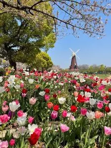 都立浮間公園