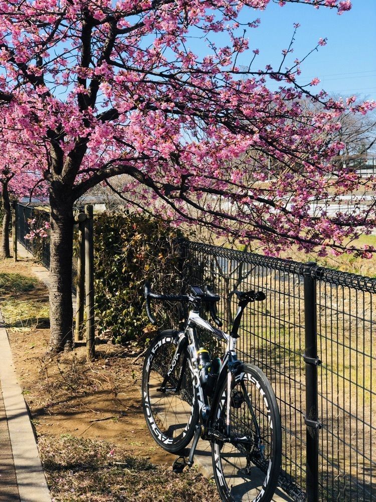 rider_uさんが投稿した東村山市に関する口コミの画像