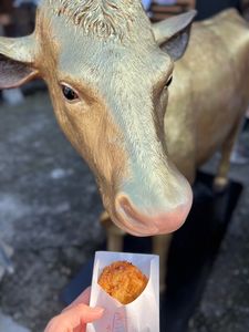 川越プリン 5枚目