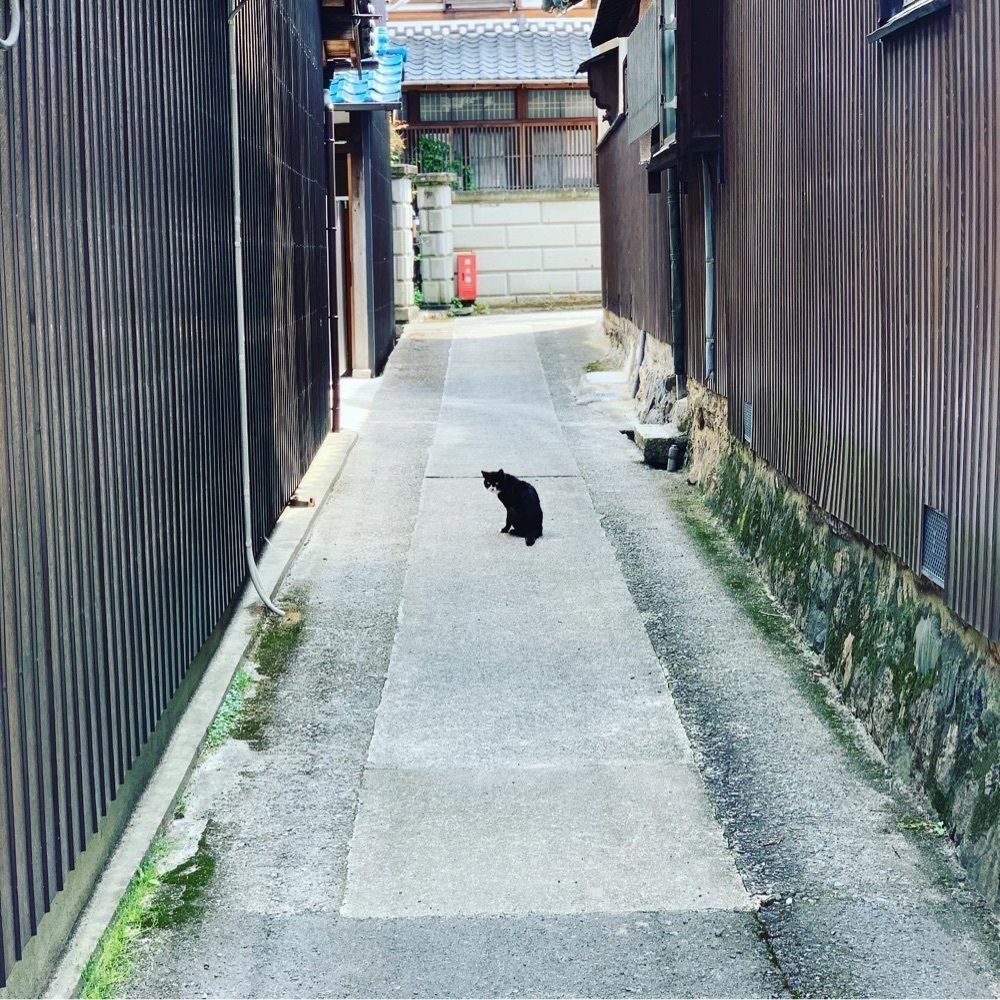 HIROMIさんが投稿した當麻寺奥院（当麻寺奥院 たいまでらおくのいん）に関する口コミの画像