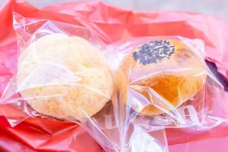 パン樹 久遠（パンジュ クオン）